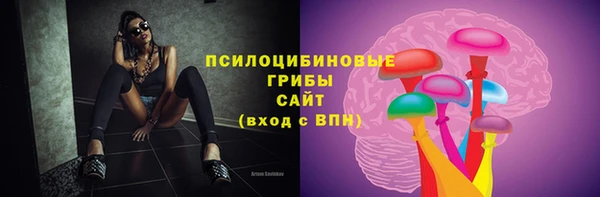стаф Абинск