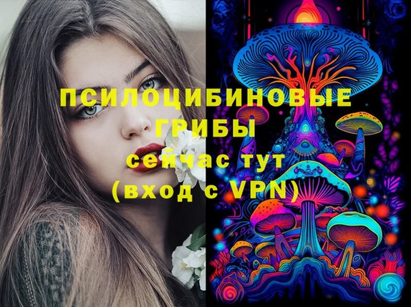дмт Абдулино