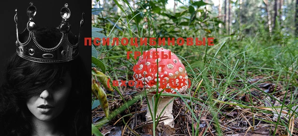 дмт Абдулино
