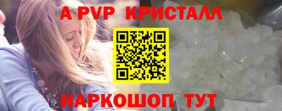 эйфоретик Гудермес