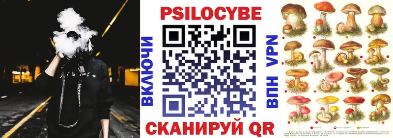 Псилоцибиновые грибы Psilocybe ссылка на мегу рабочий сайт Братск