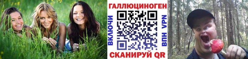 Галлюциногенные грибы мухоморы Братск