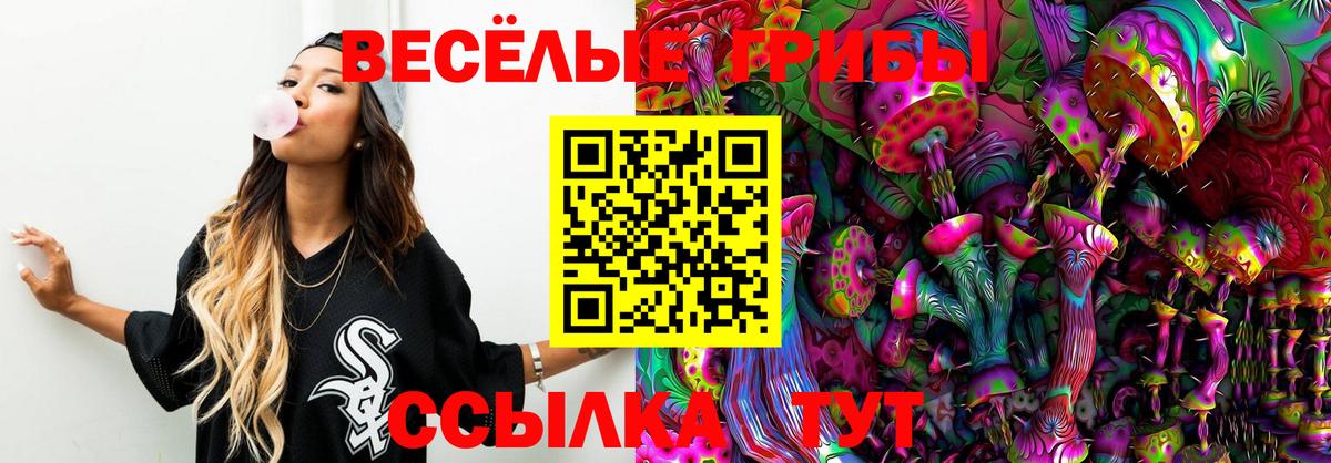 Галлюциногенные грибы мицелий Братск