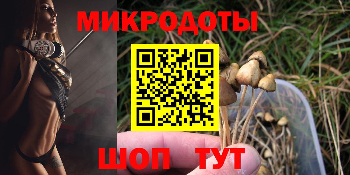 Галлюциногенные грибы Cubensis  Вход с VPN  Братск 